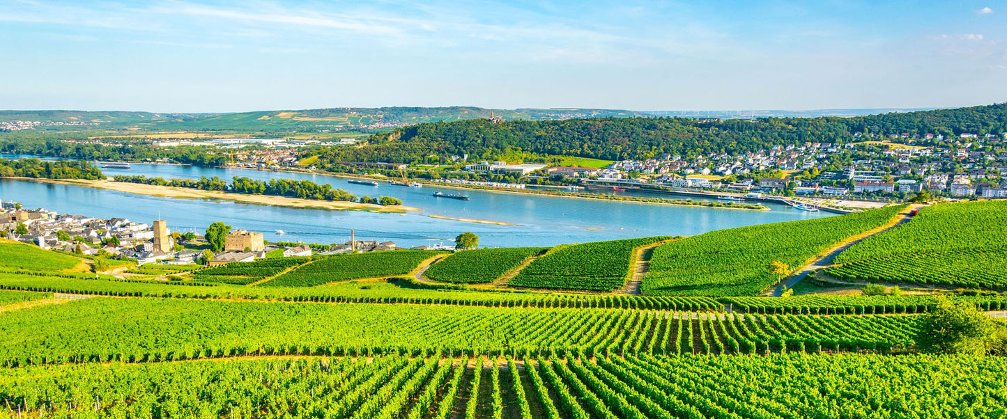 European River Cruise
