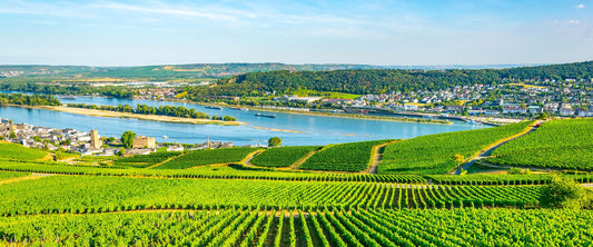 European River Cruise