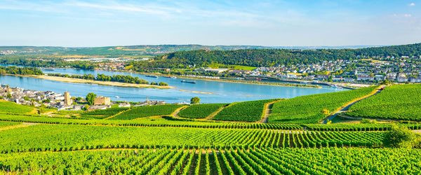 European River Cruise